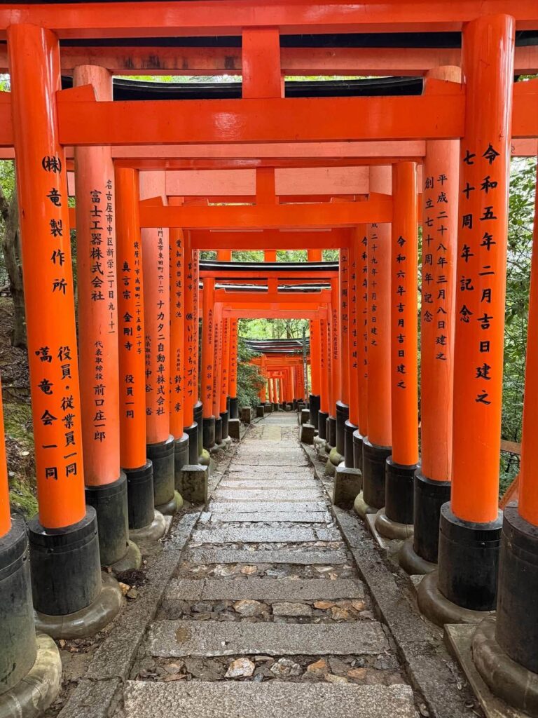 Bí kíp du lịch solo ở kyoto