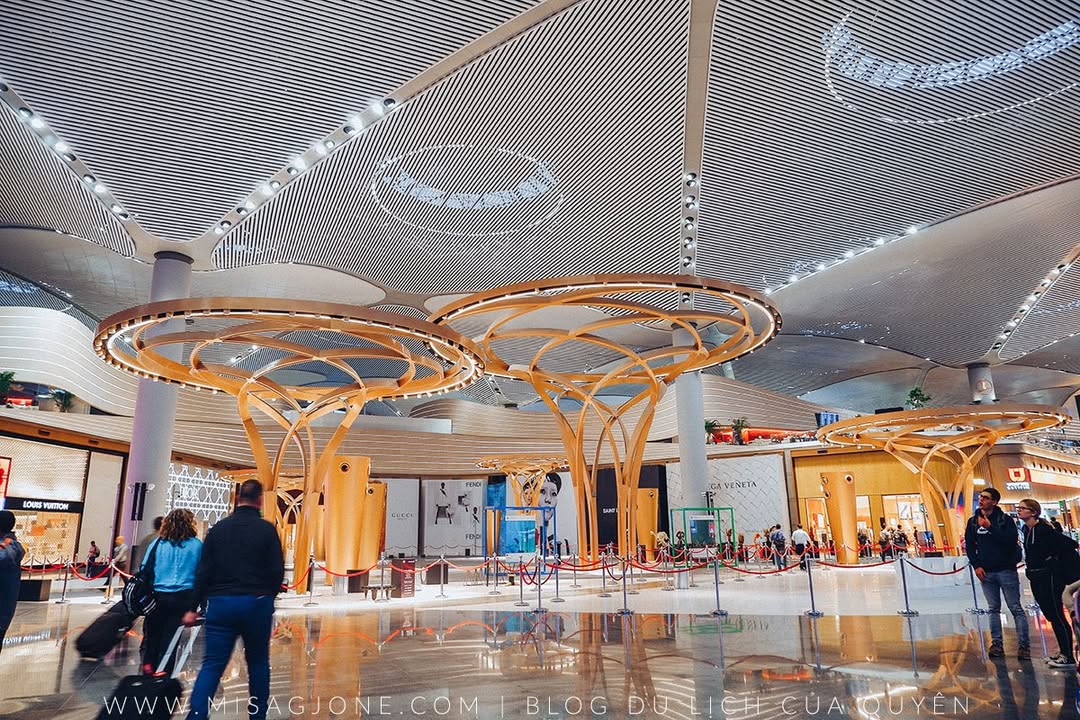 Gotogate, Qatar, Turkish Airlines Review