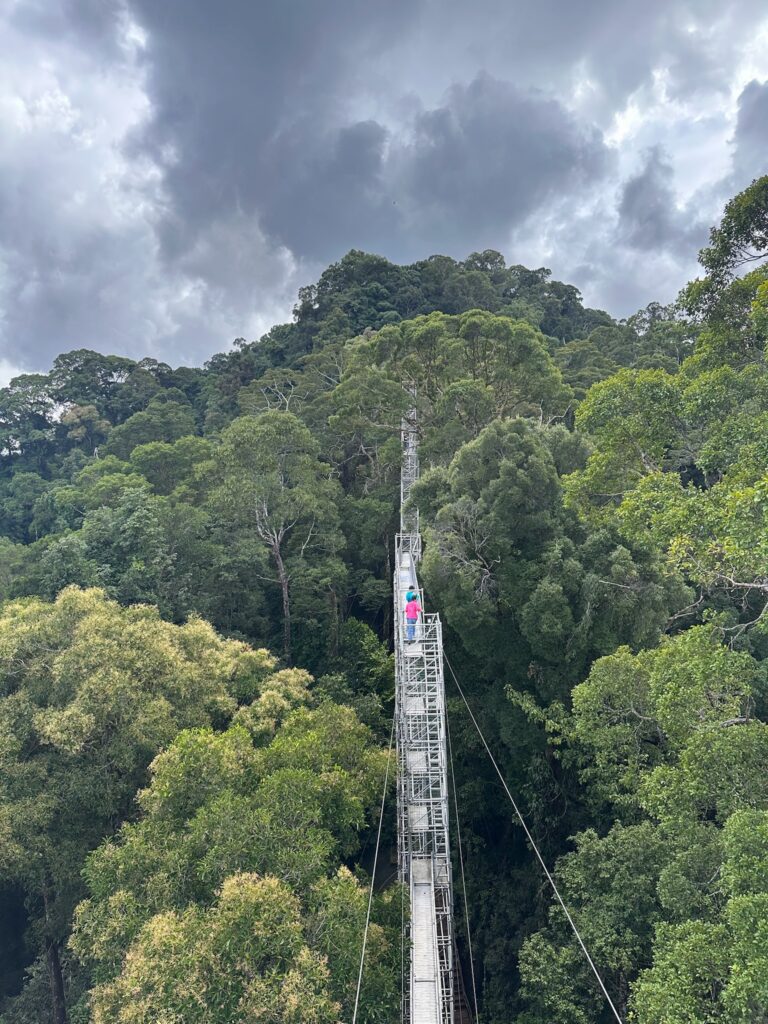 National Park of Brunei