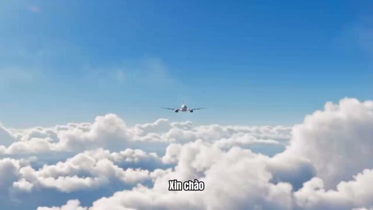 HƯỚNG DẪN KHAI BÁO THÔNG TIN TRƯỚC KHI NHẬP CẢNH – PRE-ARRIVAL INFORMATION (PAI)