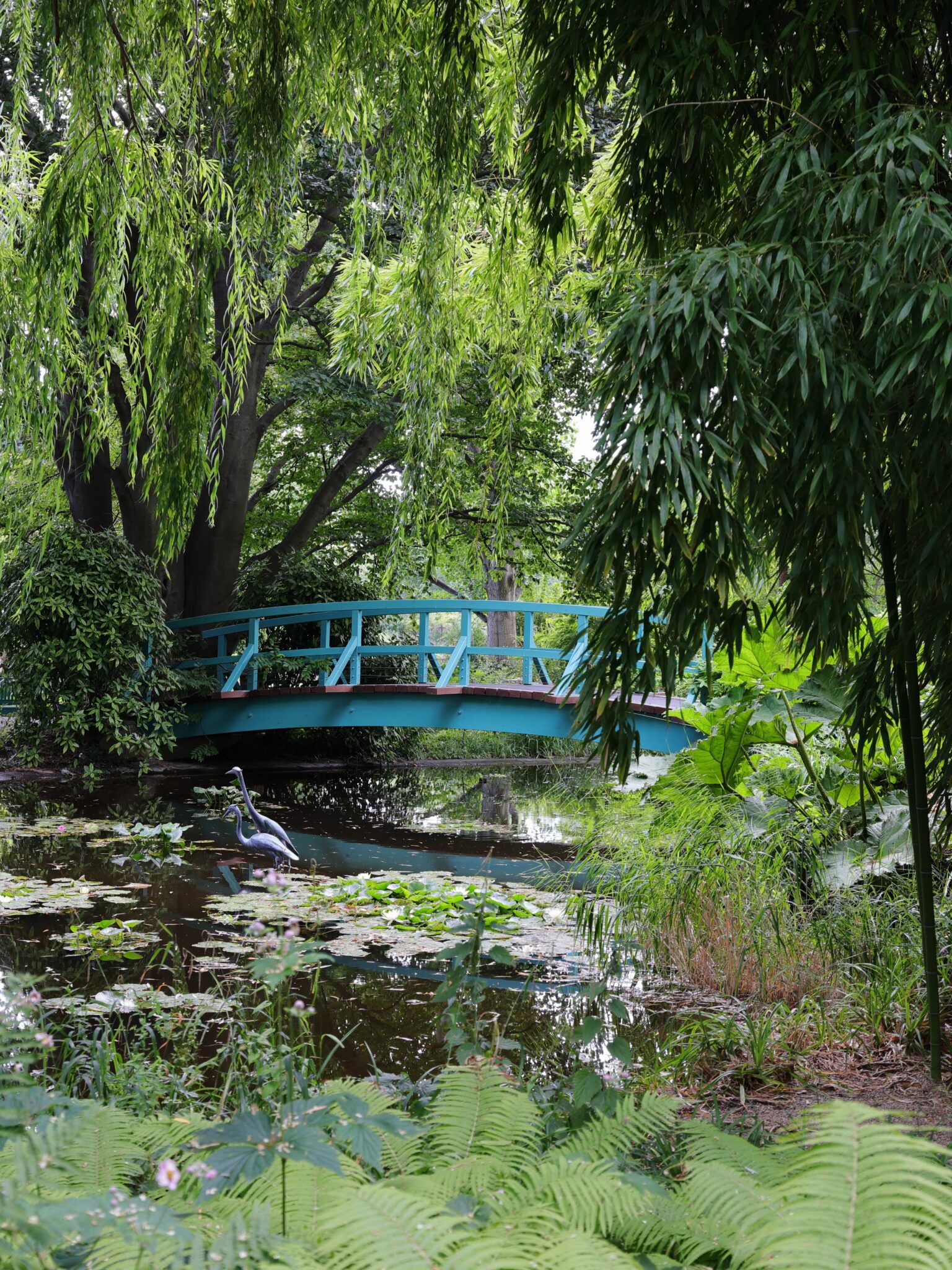 Schulgarten Kagran, Vienna - 2