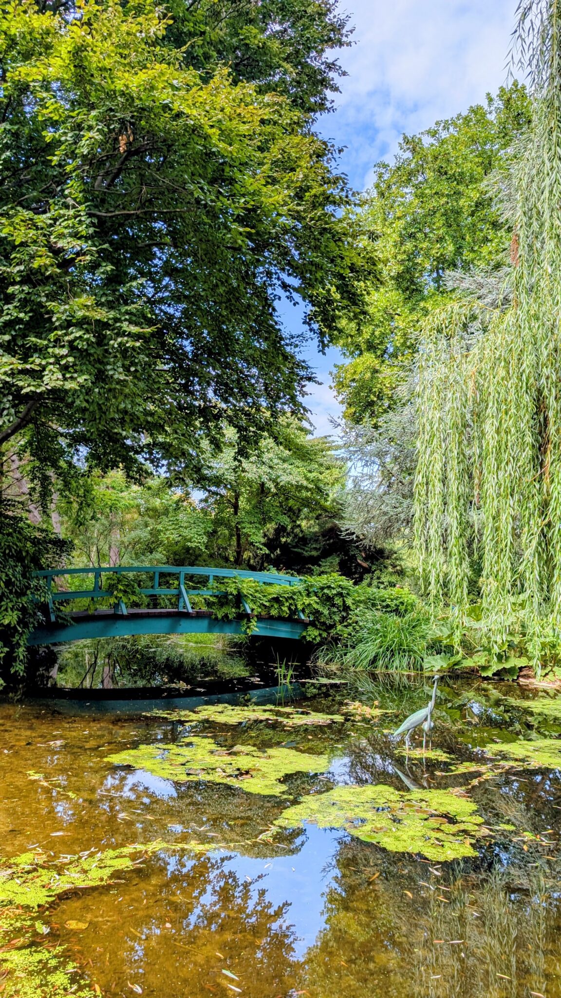 Schulgarten Kagran, Vienna - 4