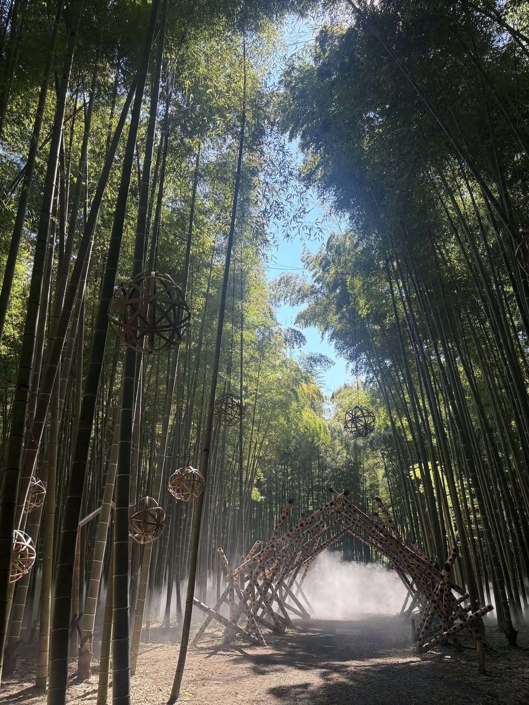 若竹の杜 若山農場